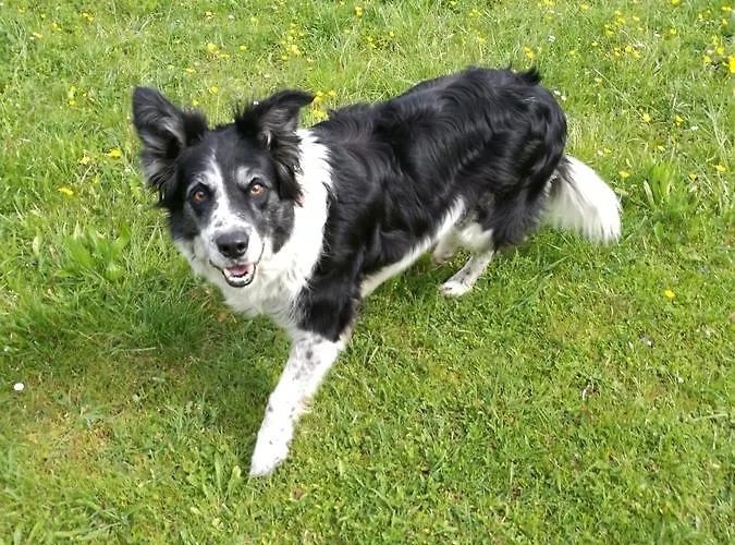 Vorreiter Appartement *